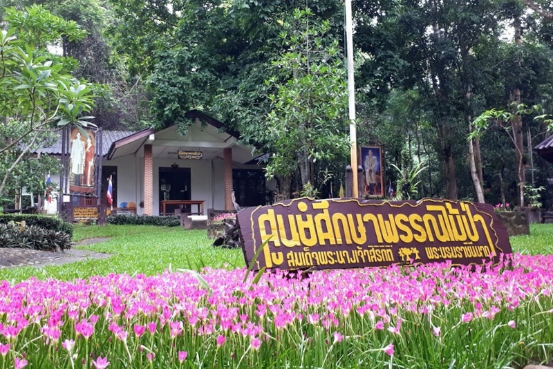 alpaca hill, camping field สวนผึ้ง, coro field, highland สวนผึ้ง, moai coffee, new land สวนผึ้ง, the camping field, the scenery vintage farm, veneto, veneto สวนผึ้ง, จุดชมวิวห้วยคอกหมู, จุดชมวิวเขากระโจม, ชิราคาวาโกะ คาเฟ่, ชิราคาวาโกะ สวนผึ้ง, ตลาดห้วยน้ำใส, ตลาดเช้าริมธาร, ตลาดเช้าริมธาร สวนผึ้ง, ตลาดโอ๊ะป่อย, ที่เที่ยวสวนผึ้ง, ที่เที่ยวสวนผึ้ง 2023, ที่เที่ยวสวนผึ้ง 2024, ที่เที่ยวสวนผึ้ง 2567, ธารน้ำร้อนบ่อคลึง, น้ำตกเก้าชั้น, น้ำตกเก้าโจน, นิวแลนด์ สวนผึ้ง, บ้านมอญห้วยน้ำใส, บ้านหอมเทียน, ราชบุรี, วอเตอร์ปาร์ค สวนผึ้ง, สวนป่าสิริกิตติ์, สวนผึ้ง, สวนผึ้งไฮแลนด์, สวนเลม่อน พสุธารา, สวนเลม่อน สวนผึ้ง, ห้วยคอกหมู, อัลปาก้า ฮิลล์, เขากระโจม, เดอะ ซีนเนอร์รี่ วินเทจ ฟาร์ม, เดอะรีสอร์ท วอเตอร์ปาร์ค, เที่ยวสวนผึ้ง, เที่ยวสวนผึ้ง 2024, เที่ยวสวนผึ้ง 2567, เวเนโต้ สวนผึ้ง, แก่งส้มแมว, โคโร่ ฟิลด์, โมไอ สวนผึ้ง, ไร่องุ่นมีสุข, ไร่องุ่นมีสุข สวนผึ้ง, top 20+ ที่เที่ยวสวนผึ้ง [กรกฎาคม 2024] สัมผัสธรรมชาติ ท่ามกลางหุบเขา จังหวัดราชบุรี
