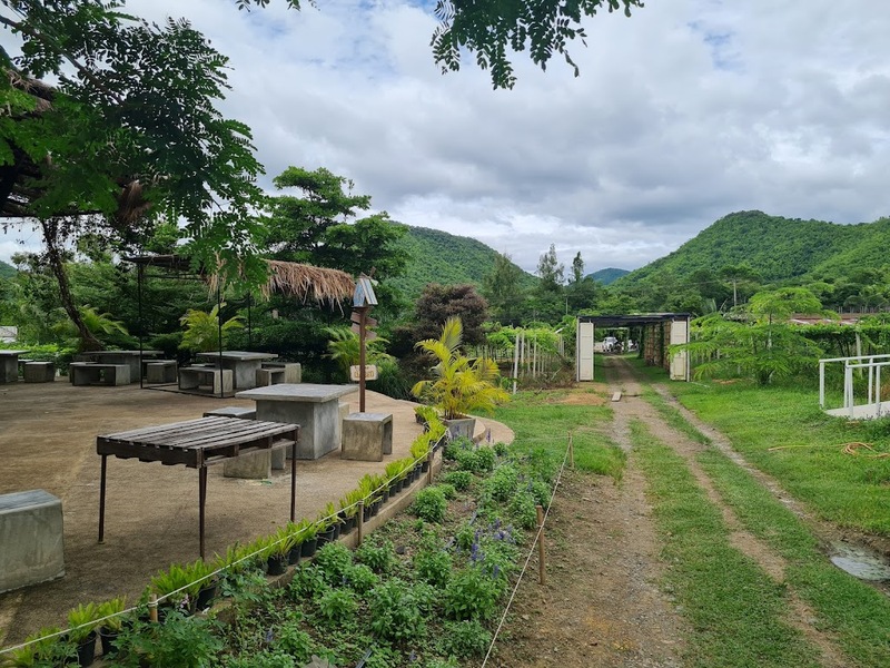 alpaca hill, camping field สวนผึ้ง, coro field, highland สวนผึ้ง, moai coffee, new land สวนผึ้ง, the camping field, the scenery vintage farm, veneto, veneto สวนผึ้ง, จุดชมวิวห้วยคอกหมู, จุดชมวิวเขากระโจม, ชิราคาวาโกะ คาเฟ่, ชิราคาวาโกะ สวนผึ้ง, ตลาดห้วยน้ำใส, ตลาดเช้าริมธาร, ตลาดเช้าริมธาร สวนผึ้ง, ตลาดโอ๊ะป่อย, ที่เที่ยวสวนผึ้ง, ที่เที่ยวสวนผึ้ง 2023, ที่เที่ยวสวนผึ้ง 2024, ที่เที่ยวสวนผึ้ง 2567, ธารน้ำร้อนบ่อคลึง, น้ำตกเก้าชั้น, น้ำตกเก้าโจน, นิวแลนด์ สวนผึ้ง, บ้านมอญห้วยน้ำใส, บ้านหอมเทียน, ราชบุรี, วอเตอร์ปาร์ค สวนผึ้ง, สวนป่าสิริกิตติ์, สวนผึ้ง, สวนผึ้งไฮแลนด์, สวนเลม่อน พสุธารา, สวนเลม่อน สวนผึ้ง, ห้วยคอกหมู, อัลปาก้า ฮิลล์, เขากระโจม, เดอะ ซีนเนอร์รี่ วินเทจ ฟาร์ม, เดอะรีสอร์ท วอเตอร์ปาร์ค, เที่ยวสวนผึ้ง, เที่ยวสวนผึ้ง 2024, เที่ยวสวนผึ้ง 2567, เวเนโต้ สวนผึ้ง, แก่งส้มแมว, โคโร่ ฟิลด์, โมไอ สวนผึ้ง, ไร่องุ่นมีสุข, ไร่องุ่นมีสุข สวนผึ้ง, top 20+ ที่เที่ยวสวนผึ้ง [กรกฎาคม 2024] สัมผัสธรรมชาติ ท่ามกลางหุบเขา จังหวัดราชบุรี