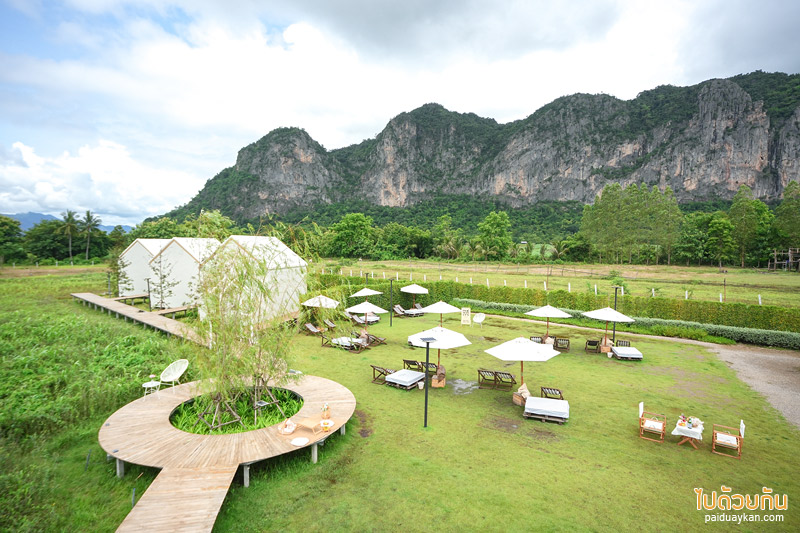ผาม่านฝัน คาเฟ่สุดคิลท์ วิวแนบชิดภูผาม่าน