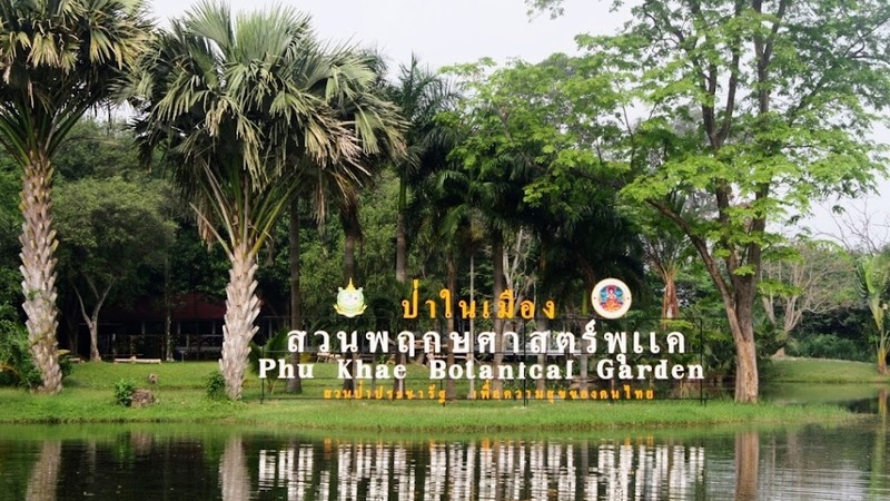 9th september eat drink tree, saraburi, so.w cafe, คาเฟ่สระบุรี, ดงพญาเย็น, ตลาดหัวปลี, ถ้ำกระบอก, ถ้ำนาคา, ถ้ำมรกตอธิบดีเวชสุวรรณ, ทานตะวันสระบุรี, ท้ายเขื่อนป่าสักชลสิทธิ์, ท้าวเวชสุวรรณร่างมนุษย์, ที่เที่ยวสระบุรี, ที่เที่ยวสระบุรี 2023, ที่เที่ยวสระบุรี 2024, ที่เที่ยวสระบุรี 2566, ที่เที่ยวสระบุรี 2567, ที่เที่ยวสระบุรี ธรรมชาติ, ทุ่งทานตะวัน, น้ำตก สระบุรี, น้ำตกดงพญาเย็น, น้ำตกสามหลั่น, น้ำตกเจ็ดสาวน้อย, นิวซีแลนด์เมืองไทย, บ้านเลียงผา, พระพุทธรูปหินลาวา, พุแค, ฟาร์มโคนม, ฟาร์มโคนมไทยเดนมาร์ค, วัดถ้ำกระบอก, วัดถ้ำบาดาล, วัดป่าสว่างบุญ, วัดพระพุทธบาท, วัดเจดีย์500 ยอด, วัดแก่งคอย, สระบุรี, สระบุรี ที่เที่ยว, สวนดอกเบญจมาศ บิ๊กเต้, สวนบิ๊กเต้, สวนพฤกษศาสตร์พุแค, หน่วยพิทักษ์ป่าท่าฤทธิ์, อ่างเก็บน้ำมวกเหล็ก, อ่างเก็บน้ำสระบุรี, อุทยานแห่งชาติน้ำตกสามหลั่น, อุโมงค์พระพุทธฉาย, อุโมงค์รถไฟ, เจ็ดคต, เจ็ดคต โป่งก้อนเส้า, เจ็ดสาวน้อย, เที่ยวสระบุรี, เที่ยวสระบุรี 2023, เที่ยวสระบุรี 2024, เที่ยวสระบุรี 2567, top 20+ ที่เที่ยวสระบุรี [กรกฎาคม2024] ใกล้ชิดธรรมชาติฟิน ๆ ไม่ไกลกรุงเทพฯ