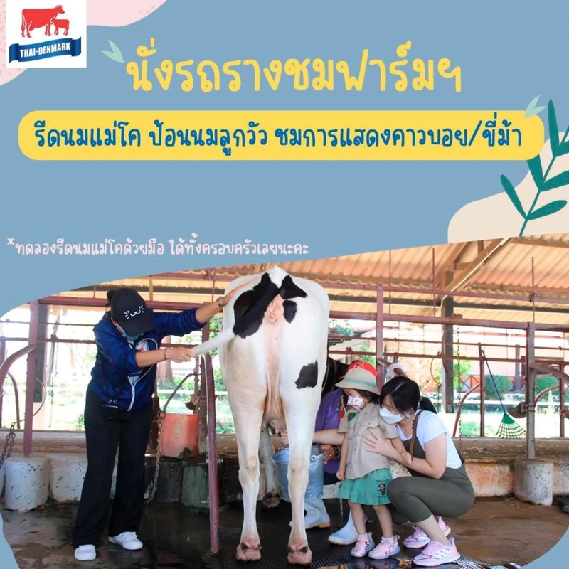 9th september eat drink tree, saraburi, so.w cafe, คาเฟ่สระบุรี, ดงพญาเย็น, ตลาดหัวปลี, ถ้ำกระบอก, ถ้ำนาคา, ถ้ำมรกตอธิบดีเวชสุวรรณ, ทานตะวันสระบุรี, ท้ายเขื่อนป่าสักชลสิทธิ์, ท้าวเวชสุวรรณร่างมนุษย์, ที่เที่ยวสระบุรี, ที่เที่ยวสระบุรี 2023, ที่เที่ยวสระบุรี 2024, ที่เที่ยวสระบุรี 2566, ที่เที่ยวสระบุรี 2567, ที่เที่ยวสระบุรี ธรรมชาติ, ทุ่งทานตะวัน, น้ำตก สระบุรี, น้ำตกดงพญาเย็น, น้ำตกสามหลั่น, น้ำตกเจ็ดสาวน้อย, นิวซีแลนด์เมืองไทย, บ้านเลียงผา, พระพุทธรูปหินลาวา, พุแค, ฟาร์มโคนม, ฟาร์มโคนมไทยเดนมาร์ค, วัดถ้ำกระบอก, วัดถ้ำบาดาล, วัดป่าสว่างบุญ, วัดพระพุทธบาท, วัดเจดีย์500 ยอด, วัดแก่งคอย, สระบุรี, สระบุรี ที่เที่ยว, สวนดอกเบญจมาศ บิ๊กเต้, สวนบิ๊กเต้, สวนพฤกษศาสตร์พุแค, หน่วยพิทักษ์ป่าท่าฤทธิ์, อ่างเก็บน้ำมวกเหล็ก, อ่างเก็บน้ำสระบุรี, อุทยานแห่งชาติน้ำตกสามหลั่น, อุโมงค์พระพุทธฉาย, อุโมงค์รถไฟ, เจ็ดคต, เจ็ดคต โป่งก้อนเส้า, เจ็ดสาวน้อย, เที่ยวสระบุรี, เที่ยวสระบุรี 2023, เที่ยวสระบุรี 2024, เที่ยวสระบุรี 2567, top 20+ ที่เที่ยวสระบุรี [กรกฎาคม2024] ใกล้ชิดธรรมชาติฟิน ๆ ไม่ไกลกรุงเทพฯ