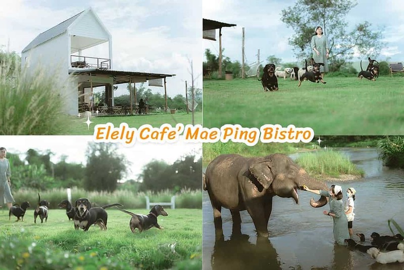 early owls, graincafecnx, กาดบะป๊าว, กิ่วแม่ปานเชียงใหม่, ที่เที่ยว เชียงใหม่, ที่เที่ยวใหม่เชียงใหม่, รีวิวที่เที่ยว เชียงใหม่, รีวิวเที่ยวเชียงใหม่, วางแผนเที่ยวเชียงใหม่, อุตสาชงที่บ้าน, เที่ยวเชียงใหม่, เส้นทางเที่ยวเชียงใหม่, แลนด์มาร์คเชียงใหม่, ใต้ถุนบ้าน, เที่ยวเชียงใหม่ 30 แลนด์มาร์ค ห้ามพลาด