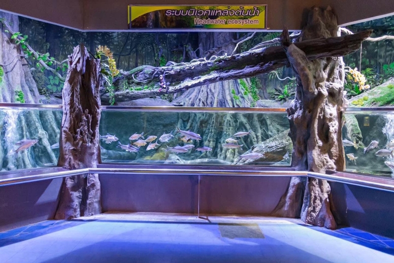 aquaria pluket, aquarium 2024, aquarium 2567, dolphinarium pattaya, monsters aquarium pattaya, sea life bangkok, sea life bangkok ocean world, sisaket aquarium, under water world, waghor aquarium, ซีไลฟ์ แบงคอก, ซีไลฟ์เปิดโซนใหม่, บึงฉวาก, บึงฉวากเฉลิมพระเกียรติ, พัทยา ดอลฟินนาเรียม, พิพิธภัณฑ์สัตว์น้ำ 2024, พิพิธภัณฑ์สัตว์น้ำ 2567, พิพิธภัณฑ์สัตว์น้ำบางแสน, พิพิธภัณฑ์สัตว์น้ำหว้ากอ, มอนสเตอร์ อควาเรียม, ศูนย์แสดงพันธุ์สัตว์น้ำศรีสะเกษ, สถานแสดงพันธุ์สัตว์น้ำระยอง, สถาบันวิทยาศาสตร์ทางทะเล, อควาดรียม ระยอง, อควาเรีย ภูเก็ต, อควาเรียม 2024, อควาเรียม 2567, อควาเรียม ม.บูพา, อควาเรียมชลบุรี, อควาเรียมบางแสน, อควาเรียมหว้ากอ, อควาเรียมใกล้กรุงเทพ, อันเดอร์วอเตอร์ เวิลด์, อันเดอร์วอเตอร์ เวิลด์ พัทยา, อุโมงค์ปลา, โลมาพัทยา, top 10+ อควาเรียมในประเทศไทย กรกฎาคม 2024 เด็ดโดนใจ ผจญภัย ตื่นตาตื่นใจไปกับโลกใต้น้ำ