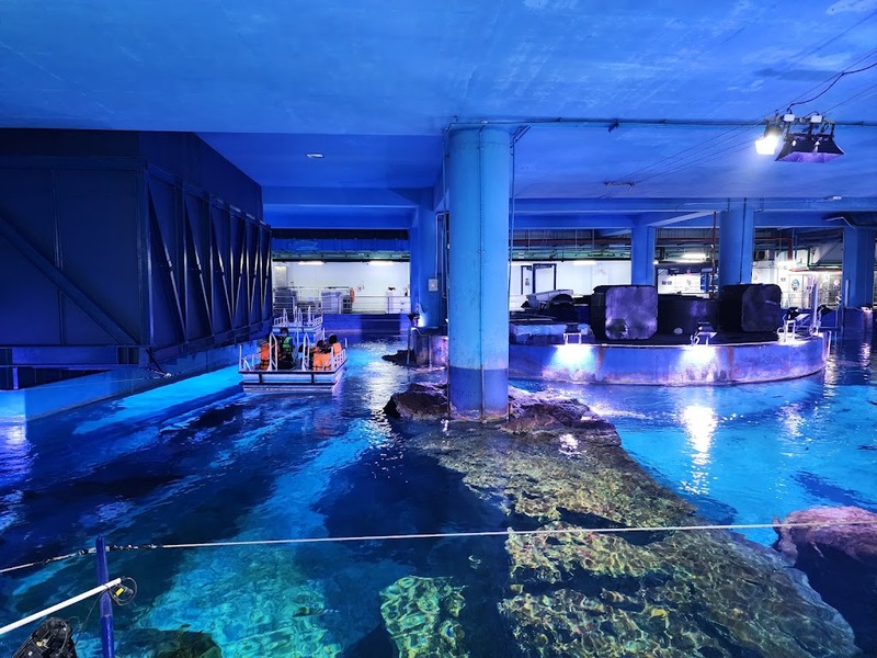 aquaria pluket, aquarium 2024, aquarium 2567, dolphinarium pattaya, monsters aquarium pattaya, sea life bangkok, sea life bangkok ocean world, sisaket aquarium, under water world, waghor aquarium, ซีไลฟ์ แบงคอก, ซีไลฟ์เปิดโซนใหม่, บึงฉวาก, บึงฉวากเฉลิมพระเกียรติ, พัทยา ดอลฟินนาเรียม, พิพิธภัณฑ์สัตว์น้ำ 2024, พิพิธภัณฑ์สัตว์น้ำ 2567, พิพิธภัณฑ์สัตว์น้ำบางแสน, พิพิธภัณฑ์สัตว์น้ำหว้ากอ, มอนสเตอร์ อควาเรียม, ศูนย์แสดงพันธุ์สัตว์น้ำศรีสะเกษ, สถานแสดงพันธุ์สัตว์น้ำระยอง, สถาบันวิทยาศาสตร์ทางทะเล, อควาดรียม ระยอง, อควาเรีย ภูเก็ต, อควาเรียม 2024, อควาเรียม 2567, อควาเรียม ม.บูพา, อควาเรียมชลบุรี, อควาเรียมบางแสน, อควาเรียมหว้ากอ, อควาเรียมใกล้กรุงเทพ, อันเดอร์วอเตอร์ เวิลด์, อันเดอร์วอเตอร์ เวิลด์ พัทยา, อุโมงค์ปลา, โลมาพัทยา, top 10+ อควาเรียมในประเทศไทย กรกฎาคม 2024 เด็ดโดนใจ ผจญภัย ตื่นตาตื่นใจไปกับโลกใต้น้ำ