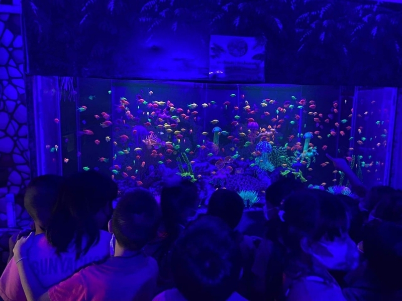 aquaria pluket, aquarium 2024, aquarium 2567, dolphinarium pattaya, monsters aquarium pattaya, sea life bangkok, sea life bangkok ocean world, sisaket aquarium, under water world, waghor aquarium, ซีไลฟ์ แบงคอก, ซีไลฟ์เปิดโซนใหม่, บึงฉวาก, บึงฉวากเฉลิมพระเกียรติ, พัทยา ดอลฟินนาเรียม, พิพิธภัณฑ์สัตว์น้ำ 2024, พิพิธภัณฑ์สัตว์น้ำ 2567, พิพิธภัณฑ์สัตว์น้ำบางแสน, พิพิธภัณฑ์สัตว์น้ำหว้ากอ, มอนสเตอร์ อควาเรียม, ศูนย์แสดงพันธุ์สัตว์น้ำศรีสะเกษ, สถานแสดงพันธุ์สัตว์น้ำระยอง, สถาบันวิทยาศาสตร์ทางทะเล, อควาดรียม ระยอง, อควาเรีย ภูเก็ต, อควาเรียม 2024, อควาเรียม 2567, อควาเรียม ม.บูพา, อควาเรียมชลบุรี, อควาเรียมบางแสน, อควาเรียมหว้ากอ, อควาเรียมใกล้กรุงเทพ, อันเดอร์วอเตอร์ เวิลด์, อันเดอร์วอเตอร์ เวิลด์ พัทยา, อุโมงค์ปลา, โลมาพัทยา, top 10+ อควาเรียมในประเทศไทย กรกฎาคม 2024 เด็ดโดนใจ ผจญภัย ตื่นตาตื่นใจไปกับโลกใต้น้ำ