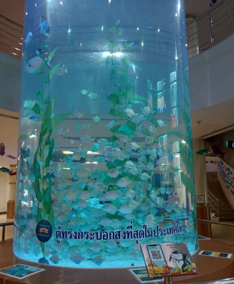aquaria pluket, aquarium 2024, aquarium 2567, dolphinarium pattaya, monsters aquarium pattaya, sea life bangkok, sea life bangkok ocean world, sisaket aquarium, under water world, waghor aquarium, ซีไลฟ์ แบงคอก, ซีไลฟ์เปิดโซนใหม่, บึงฉวาก, บึงฉวากเฉลิมพระเกียรติ, พัทยา ดอลฟินนาเรียม, พิพิธภัณฑ์สัตว์น้ำ 2024, พิพิธภัณฑ์สัตว์น้ำ 2567, พิพิธภัณฑ์สัตว์น้ำบางแสน, พิพิธภัณฑ์สัตว์น้ำหว้ากอ, มอนสเตอร์ อควาเรียม, ศูนย์แสดงพันธุ์สัตว์น้ำศรีสะเกษ, สถานแสดงพันธุ์สัตว์น้ำระยอง, สถาบันวิทยาศาสตร์ทางทะเล, อควาดรียม ระยอง, อควาเรีย ภูเก็ต, อควาเรียม 2024, อควาเรียม 2567, อควาเรียม ม.บูพา, อควาเรียมชลบุรี, อควาเรียมบางแสน, อควาเรียมหว้ากอ, อควาเรียมใกล้กรุงเทพ, อันเดอร์วอเตอร์ เวิลด์, อันเดอร์วอเตอร์ เวิลด์ พัทยา, อุโมงค์ปลา, โลมาพัทยา, top 10+ อควาเรียมในประเทศไทย กรกฎาคม 2024 เด็ดโดนใจ ผจญภัย ตื่นตาตื่นใจไปกับโลกใต้น้ำ