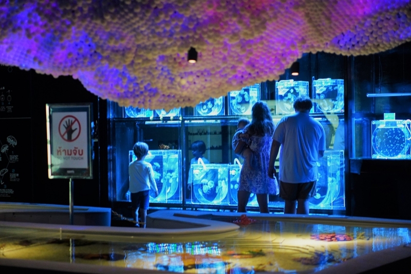 aquaria pluket, aquarium 2024, aquarium 2567, dolphinarium pattaya, monsters aquarium pattaya, sea life bangkok, sea life bangkok ocean world, sisaket aquarium, under water world, waghor aquarium, ซีไลฟ์ แบงคอก, ซีไลฟ์เปิดโซนใหม่, บึงฉวาก, บึงฉวากเฉลิมพระเกียรติ, พัทยา ดอลฟินนาเรียม, พิพิธภัณฑ์สัตว์น้ำ 2024, พิพิธภัณฑ์สัตว์น้ำ 2567, พิพิธภัณฑ์สัตว์น้ำบางแสน, พิพิธภัณฑ์สัตว์น้ำหว้ากอ, มอนสเตอร์ อควาเรียม, ศูนย์แสดงพันธุ์สัตว์น้ำศรีสะเกษ, สถานแสดงพันธุ์สัตว์น้ำระยอง, สถาบันวิทยาศาสตร์ทางทะเล, อควาดรียม ระยอง, อควาเรีย ภูเก็ต, อควาเรียม 2024, อควาเรียม 2567, อควาเรียม ม.บูพา, อควาเรียมชลบุรี, อควาเรียมบางแสน, อควาเรียมหว้ากอ, อควาเรียมใกล้กรุงเทพ, อันเดอร์วอเตอร์ เวิลด์, อันเดอร์วอเตอร์ เวิลด์ พัทยา, อุโมงค์ปลา, โลมาพัทยา, top 10+ อควาเรียมในประเทศไทย กรกฎาคม 2024 เด็ดโดนใจ ผจญภัย ตื่นตาตื่นใจไปกับโลกใต้น้ำ