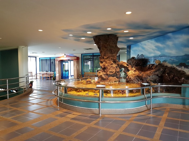 aquaria pluket, aquarium 2024, aquarium 2567, dolphinarium pattaya, monsters aquarium pattaya, sea life bangkok, sea life bangkok ocean world, sisaket aquarium, under water world, waghor aquarium, ซีไลฟ์ แบงคอก, ซีไลฟ์เปิดโซนใหม่, บึงฉวาก, บึงฉวากเฉลิมพระเกียรติ, พัทยา ดอลฟินนาเรียม, พิพิธภัณฑ์สัตว์น้ำ 2024, พิพิธภัณฑ์สัตว์น้ำ 2567, พิพิธภัณฑ์สัตว์น้ำบางแสน, พิพิธภัณฑ์สัตว์น้ำหว้ากอ, มอนสเตอร์ อควาเรียม, ศูนย์แสดงพันธุ์สัตว์น้ำศรีสะเกษ, สถานแสดงพันธุ์สัตว์น้ำระยอง, สถาบันวิทยาศาสตร์ทางทะเล, อควาดรียม ระยอง, อควาเรีย ภูเก็ต, อควาเรียม 2024, อควาเรียม 2567, อควาเรียม ม.บูพา, อควาเรียมชลบุรี, อควาเรียมบางแสน, อควาเรียมหว้ากอ, อควาเรียมใกล้กรุงเทพ, อันเดอร์วอเตอร์ เวิลด์, อันเดอร์วอเตอร์ เวิลด์ พัทยา, อุโมงค์ปลา, โลมาพัทยา, top 10+ อควาเรียมในประเทศไทย กรกฎาคม 2024 เด็ดโดนใจ ผจญภัย ตื่นตาตื่นใจไปกับโลกใต้น้ำ