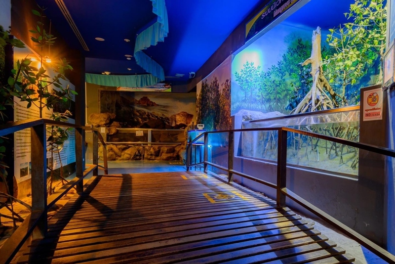 aquaria pluket, aquarium 2024, aquarium 2567, dolphinarium pattaya, monsters aquarium pattaya, sea life bangkok, sea life bangkok ocean world, sisaket aquarium, under water world, waghor aquarium, ซีไลฟ์ แบงคอก, ซีไลฟ์เปิดโซนใหม่, บึงฉวาก, บึงฉวากเฉลิมพระเกียรติ, พัทยา ดอลฟินนาเรียม, พิพิธภัณฑ์สัตว์น้ำ 2024, พิพิธภัณฑ์สัตว์น้ำ 2567, พิพิธภัณฑ์สัตว์น้ำบางแสน, พิพิธภัณฑ์สัตว์น้ำหว้ากอ, มอนสเตอร์ อควาเรียม, ศูนย์แสดงพันธุ์สัตว์น้ำศรีสะเกษ, สถานแสดงพันธุ์สัตว์น้ำระยอง, สถาบันวิทยาศาสตร์ทางทะเล, อควาดรียม ระยอง, อควาเรีย ภูเก็ต, อควาเรียม 2024, อควาเรียม 2567, อควาเรียม ม.บูพา, อควาเรียมชลบุรี, อควาเรียมบางแสน, อควาเรียมหว้ากอ, อควาเรียมใกล้กรุงเทพ, อันเดอร์วอเตอร์ เวิลด์, อันเดอร์วอเตอร์ เวิลด์ พัทยา, อุโมงค์ปลา, โลมาพัทยา, top 10+ อควาเรียมในประเทศไทย กรกฎาคม 2024 เด็ดโดนใจ ผจญภัย ตื่นตาตื่นใจไปกับโลกใต้น้ำ