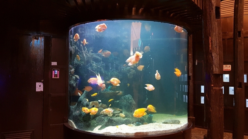 aquaria pluket, aquarium 2024, aquarium 2567, dolphinarium pattaya, monsters aquarium pattaya, sea life bangkok, sea life bangkok ocean world, sisaket aquarium, under water world, waghor aquarium, ซีไลฟ์ แบงคอก, ซีไลฟ์เปิดโซนใหม่, บึงฉวาก, บึงฉวากเฉลิมพระเกียรติ, พัทยา ดอลฟินนาเรียม, พิพิธภัณฑ์สัตว์น้ำ 2024, พิพิธภัณฑ์สัตว์น้ำ 2567, พิพิธภัณฑ์สัตว์น้ำบางแสน, พิพิธภัณฑ์สัตว์น้ำหว้ากอ, มอนสเตอร์ อควาเรียม, ศูนย์แสดงพันธุ์สัตว์น้ำศรีสะเกษ, สถานแสดงพันธุ์สัตว์น้ำระยอง, สถาบันวิทยาศาสตร์ทางทะเล, อควาดรียม ระยอง, อควาเรีย ภูเก็ต, อควาเรียม 2024, อควาเรียม 2567, อควาเรียม ม.บูพา, อควาเรียมชลบุรี, อควาเรียมบางแสน, อควาเรียมหว้ากอ, อควาเรียมใกล้กรุงเทพ, อันเดอร์วอเตอร์ เวิลด์, อันเดอร์วอเตอร์ เวิลด์ พัทยา, อุโมงค์ปลา, โลมาพัทยา, top 10+ อควาเรียมในประเทศไทย กรกฎาคม 2024 เด็ดโดนใจ ผจญภัย ตื่นตาตื่นใจไปกับโลกใต้น้ำ