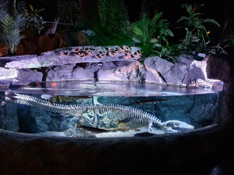 aquaria pluket, aquarium 2024, aquarium 2567, dolphinarium pattaya, monsters aquarium pattaya, sea life bangkok, sea life bangkok ocean world, sisaket aquarium, under water world, waghor aquarium, ซีไลฟ์ แบงคอก, ซีไลฟ์เปิดโซนใหม่, บึงฉวาก, บึงฉวากเฉลิมพระเกียรติ, พัทยา ดอลฟินนาเรียม, พิพิธภัณฑ์สัตว์น้ำ 2024, พิพิธภัณฑ์สัตว์น้ำ 2567, พิพิธภัณฑ์สัตว์น้ำบางแสน, พิพิธภัณฑ์สัตว์น้ำหว้ากอ, มอนสเตอร์ อควาเรียม, ศูนย์แสดงพันธุ์สัตว์น้ำศรีสะเกษ, สถานแสดงพันธุ์สัตว์น้ำระยอง, สถาบันวิทยาศาสตร์ทางทะเล, อควาดรียม ระยอง, อควาเรีย ภูเก็ต, อควาเรียม 2024, อควาเรียม 2567, อควาเรียม ม.บูพา, อควาเรียมชลบุรี, อควาเรียมบางแสน, อควาเรียมหว้ากอ, อควาเรียมใกล้กรุงเทพ, อันเดอร์วอเตอร์ เวิลด์, อันเดอร์วอเตอร์ เวิลด์ พัทยา, อุโมงค์ปลา, โลมาพัทยา, top 10+ อควาเรียมในประเทศไทย กรกฎาคม 2024 เด็ดโดนใจ ผจญภัย ตื่นตาตื่นใจไปกับโลกใต้น้ำ