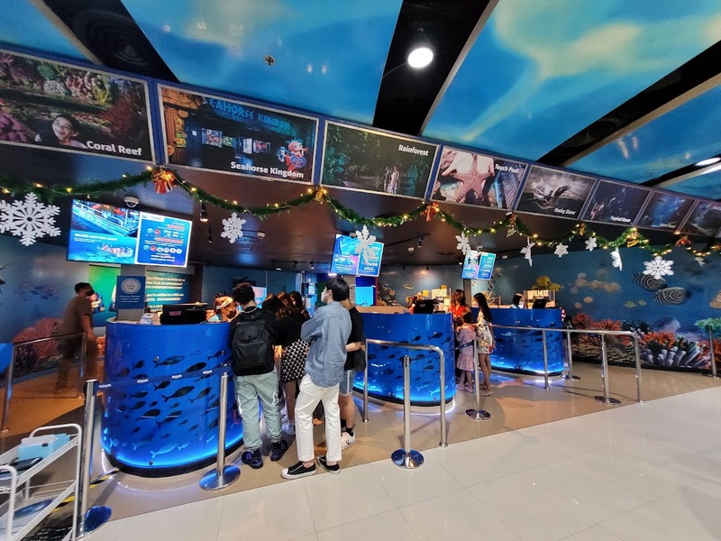 aquaria pluket, aquarium 2024, aquarium 2567, dolphinarium pattaya, monsters aquarium pattaya, sea life bangkok, sea life bangkok ocean world, sisaket aquarium, under water world, waghor aquarium, ซีไลฟ์ แบงคอก, ซีไลฟ์เปิดโซนใหม่, บึงฉวาก, บึงฉวากเฉลิมพระเกียรติ, พัทยา ดอลฟินนาเรียม, พิพิธภัณฑ์สัตว์น้ำ 2024, พิพิธภัณฑ์สัตว์น้ำ 2567, พิพิธภัณฑ์สัตว์น้ำบางแสน, พิพิธภัณฑ์สัตว์น้ำหว้ากอ, มอนสเตอร์ อควาเรียม, ศูนย์แสดงพันธุ์สัตว์น้ำศรีสะเกษ, สถานแสดงพันธุ์สัตว์น้ำระยอง, สถาบันวิทยาศาสตร์ทางทะเล, อควาดรียม ระยอง, อควาเรีย ภูเก็ต, อควาเรียม 2024, อควาเรียม 2567, อควาเรียม ม.บูพา, อควาเรียมชลบุรี, อควาเรียมบางแสน, อควาเรียมหว้ากอ, อควาเรียมใกล้กรุงเทพ, อันเดอร์วอเตอร์ เวิลด์, อันเดอร์วอเตอร์ เวิลด์ พัทยา, อุโมงค์ปลา, โลมาพัทยา, top 10+ อควาเรียมในประเทศไทย กรกฎาคม 2024 เด็ดโดนใจ ผจญภัย ตื่นตาตื่นใจไปกับโลกใต้น้ำ