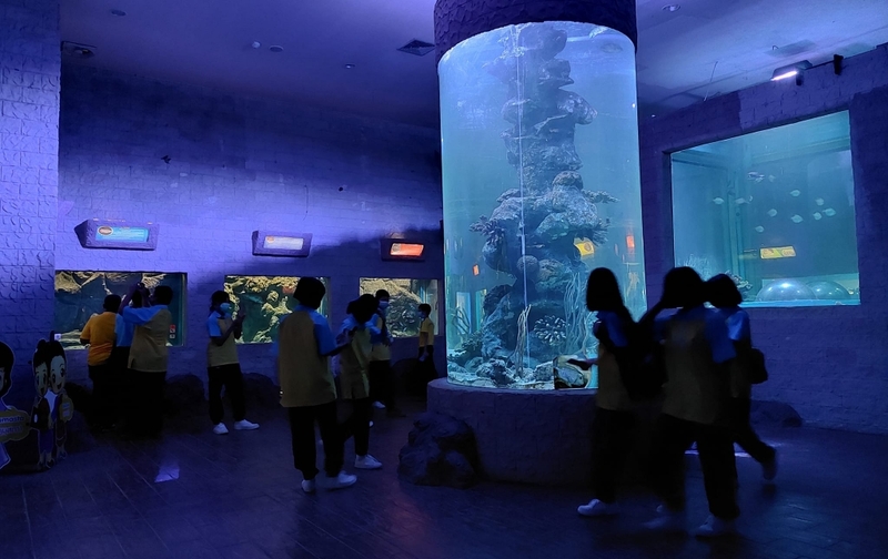 aquaria pluket, aquarium 2024, aquarium 2567, dolphinarium pattaya, monsters aquarium pattaya, sea life bangkok, sea life bangkok ocean world, sisaket aquarium, under water world, waghor aquarium, ซีไลฟ์ แบงคอก, ซีไลฟ์เปิดโซนใหม่, บึงฉวาก, บึงฉวากเฉลิมพระเกียรติ, พัทยา ดอลฟินนาเรียม, พิพิธภัณฑ์สัตว์น้ำ 2024, พิพิธภัณฑ์สัตว์น้ำ 2567, พิพิธภัณฑ์สัตว์น้ำบางแสน, พิพิธภัณฑ์สัตว์น้ำหว้ากอ, มอนสเตอร์ อควาเรียม, ศูนย์แสดงพันธุ์สัตว์น้ำศรีสะเกษ, สถานแสดงพันธุ์สัตว์น้ำระยอง, สถาบันวิทยาศาสตร์ทางทะเล, อควาดรียม ระยอง, อควาเรีย ภูเก็ต, อควาเรียม 2024, อควาเรียม 2567, อควาเรียม ม.บูพา, อควาเรียมชลบุรี, อควาเรียมบางแสน, อควาเรียมหว้ากอ, อควาเรียมใกล้กรุงเทพ, อันเดอร์วอเตอร์ เวิลด์, อันเดอร์วอเตอร์ เวิลด์ พัทยา, อุโมงค์ปลา, โลมาพัทยา, top 10+ อควาเรียมในประเทศไทย กรกฎาคม 2024 เด็ดโดนใจ ผจญภัย ตื่นตาตื่นใจไปกับโลกใต้น้ำ