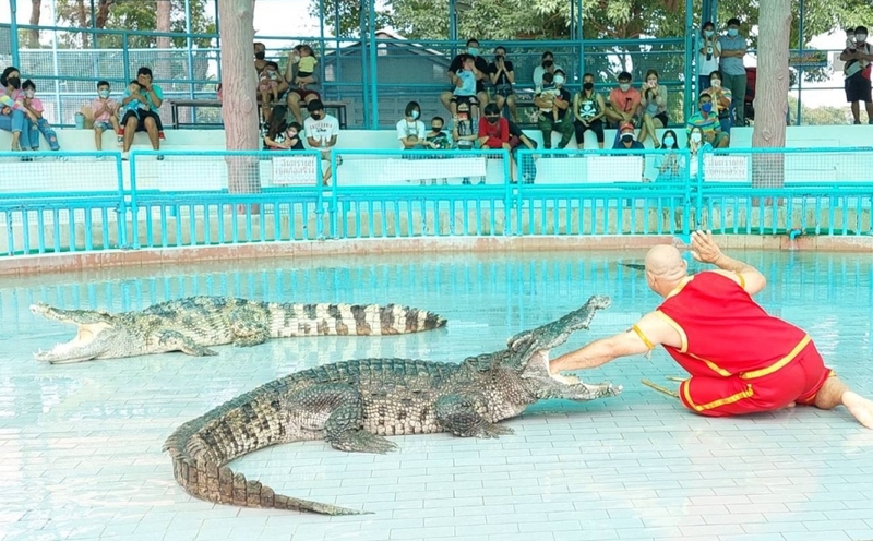aquaria pluket, aquarium 2024, aquarium 2567, dolphinarium pattaya, monsters aquarium pattaya, sea life bangkok, sea life bangkok ocean world, sisaket aquarium, under water world, waghor aquarium, ซีไลฟ์ แบงคอก, ซีไลฟ์เปิดโซนใหม่, บึงฉวาก, บึงฉวากเฉลิมพระเกียรติ, พัทยา ดอลฟินนาเรียม, พิพิธภัณฑ์สัตว์น้ำ 2024, พิพิธภัณฑ์สัตว์น้ำ 2567, พิพิธภัณฑ์สัตว์น้ำบางแสน, พิพิธภัณฑ์สัตว์น้ำหว้ากอ, มอนสเตอร์ อควาเรียม, ศูนย์แสดงพันธุ์สัตว์น้ำศรีสะเกษ, สถานแสดงพันธุ์สัตว์น้ำระยอง, สถาบันวิทยาศาสตร์ทางทะเล, อควาดรียม ระยอง, อควาเรีย ภูเก็ต, อควาเรียม 2024, อควาเรียม 2567, อควาเรียม ม.บูพา, อควาเรียมชลบุรี, อควาเรียมบางแสน, อควาเรียมหว้ากอ, อควาเรียมใกล้กรุงเทพ, อันเดอร์วอเตอร์ เวิลด์, อันเดอร์วอเตอร์ เวิลด์ พัทยา, อุโมงค์ปลา, โลมาพัทยา, top 10+ อควาเรียมในประเทศไทย กรกฎาคม 2024 เด็ดโดนใจ ผจญภัย ตื่นตาตื่นใจไปกับโลกใต้น้ำ