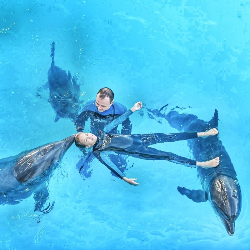 aquaria pluket, aquarium 2024, aquarium 2567, dolphinarium pattaya, monsters aquarium pattaya, sea life bangkok, sea life bangkok ocean world, sisaket aquarium, under water world, waghor aquarium, ซีไลฟ์ แบงคอก, ซีไลฟ์เปิดโซนใหม่, บึงฉวาก, บึงฉวากเฉลิมพระเกียรติ, พัทยา ดอลฟินนาเรียม, พิพิธภัณฑ์สัตว์น้ำ 2024, พิพิธภัณฑ์สัตว์น้ำ 2567, พิพิธภัณฑ์สัตว์น้ำบางแสน, พิพิธภัณฑ์สัตว์น้ำหว้ากอ, มอนสเตอร์ อควาเรียม, ศูนย์แสดงพันธุ์สัตว์น้ำศรีสะเกษ, สถานแสดงพันธุ์สัตว์น้ำระยอง, สถาบันวิทยาศาสตร์ทางทะเล, อควาดรียม ระยอง, อควาเรีย ภูเก็ต, อควาเรียม 2024, อควาเรียม 2567, อควาเรียม ม.บูพา, อควาเรียมชลบุรี, อควาเรียมบางแสน, อควาเรียมหว้ากอ, อควาเรียมใกล้กรุงเทพ, อันเดอร์วอเตอร์ เวิลด์, อันเดอร์วอเตอร์ เวิลด์ พัทยา, อุโมงค์ปลา, โลมาพัทยา, top 10+ อควาเรียมในประเทศไทย กรกฎาคม 2024 เด็ดโดนใจ ผจญภัย ตื่นตาตื่นใจไปกับโลกใต้น้ำ