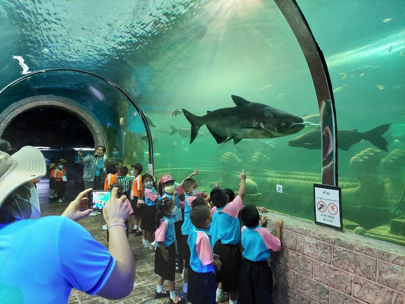 aquaria pluket, aquarium 2024, aquarium 2567, dolphinarium pattaya, monsters aquarium pattaya, sea life bangkok, sea life bangkok ocean world, sisaket aquarium, under water world, waghor aquarium, ซีไลฟ์ แบงคอก, ซีไลฟ์เปิดโซนใหม่, บึงฉวาก, บึงฉวากเฉลิมพระเกียรติ, พัทยา ดอลฟินนาเรียม, พิพิธภัณฑ์สัตว์น้ำ 2024, พิพิธภัณฑ์สัตว์น้ำ 2567, พิพิธภัณฑ์สัตว์น้ำบางแสน, พิพิธภัณฑ์สัตว์น้ำหว้ากอ, มอนสเตอร์ อควาเรียม, ศูนย์แสดงพันธุ์สัตว์น้ำศรีสะเกษ, สถานแสดงพันธุ์สัตว์น้ำระยอง, สถาบันวิทยาศาสตร์ทางทะเล, อควาดรียม ระยอง, อควาเรีย ภูเก็ต, อควาเรียม 2024, อควาเรียม 2567, อควาเรียม ม.บูพา, อควาเรียมชลบุรี, อควาเรียมบางแสน, อควาเรียมหว้ากอ, อควาเรียมใกล้กรุงเทพ, อันเดอร์วอเตอร์ เวิลด์, อันเดอร์วอเตอร์ เวิลด์ พัทยา, อุโมงค์ปลา, โลมาพัทยา, top 10+ อควาเรียมในประเทศไทย กรกฎาคม 2024 เด็ดโดนใจ ผจญภัย ตื่นตาตื่นใจไปกับโลกใต้น้ำ