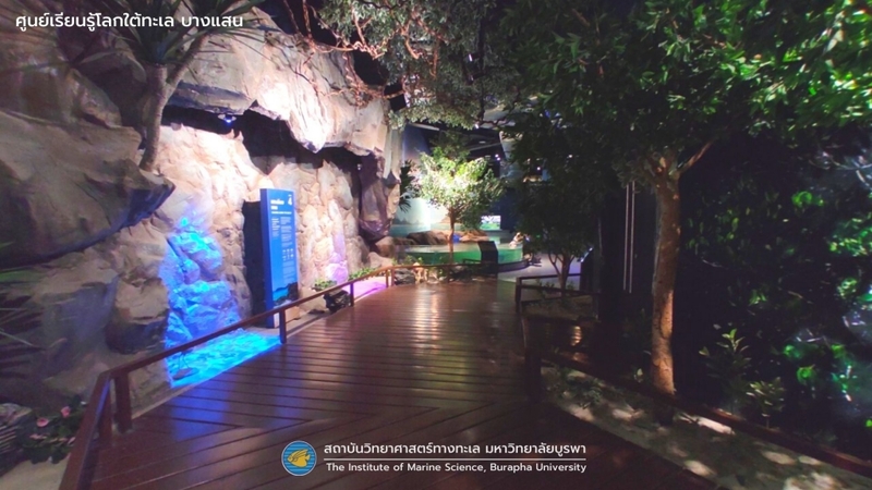 aquaria pluket, aquarium 2024, aquarium 2567, dolphinarium pattaya, monsters aquarium pattaya, sea life bangkok, sea life bangkok ocean world, sisaket aquarium, under water world, waghor aquarium, ซีไลฟ์ แบงคอก, ซีไลฟ์เปิดโซนใหม่, บึงฉวาก, บึงฉวากเฉลิมพระเกียรติ, พัทยา ดอลฟินนาเรียม, พิพิธภัณฑ์สัตว์น้ำ 2024, พิพิธภัณฑ์สัตว์น้ำ 2567, พิพิธภัณฑ์สัตว์น้ำบางแสน, พิพิธภัณฑ์สัตว์น้ำหว้ากอ, มอนสเตอร์ อควาเรียม, ศูนย์แสดงพันธุ์สัตว์น้ำศรีสะเกษ, สถานแสดงพันธุ์สัตว์น้ำระยอง, สถาบันวิทยาศาสตร์ทางทะเล, อควาดรียม ระยอง, อควาเรีย ภูเก็ต, อควาเรียม 2024, อควาเรียม 2567, อควาเรียม ม.บูพา, อควาเรียมชลบุรี, อควาเรียมบางแสน, อควาเรียมหว้ากอ, อควาเรียมใกล้กรุงเทพ, อันเดอร์วอเตอร์ เวิลด์, อันเดอร์วอเตอร์ เวิลด์ พัทยา, อุโมงค์ปลา, โลมาพัทยา, top 10+ อควาเรียมในประเทศไทย กรกฎาคม 2024 เด็ดโดนใจ ผจญภัย ตื่นตาตื่นใจไปกับโลกใต้น้ำ