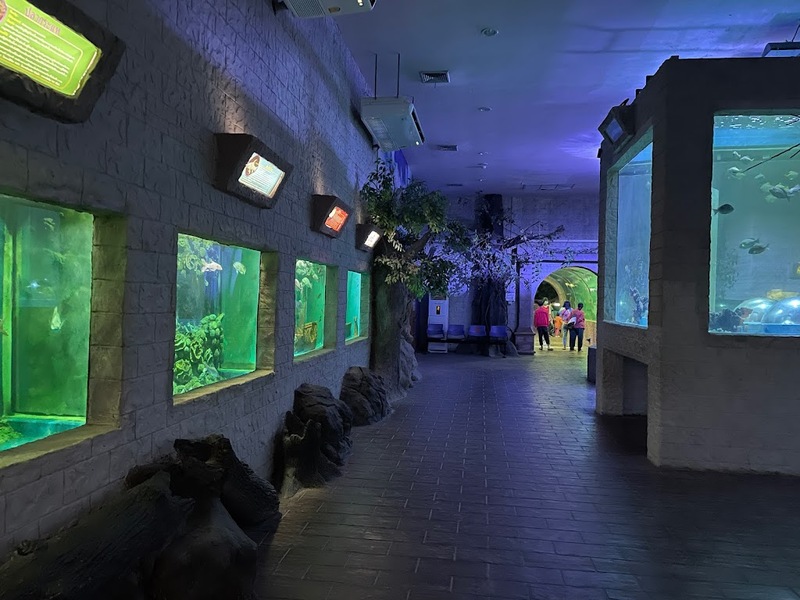 aquaria pluket, aquarium 2024, aquarium 2567, dolphinarium pattaya, monsters aquarium pattaya, sea life bangkok, sea life bangkok ocean world, sisaket aquarium, under water world, waghor aquarium, ซีไลฟ์ แบงคอก, ซีไลฟ์เปิดโซนใหม่, บึงฉวาก, บึงฉวากเฉลิมพระเกียรติ, พัทยา ดอลฟินนาเรียม, พิพิธภัณฑ์สัตว์น้ำ 2024, พิพิธภัณฑ์สัตว์น้ำ 2567, พิพิธภัณฑ์สัตว์น้ำบางแสน, พิพิธภัณฑ์สัตว์น้ำหว้ากอ, มอนสเตอร์ อควาเรียม, ศูนย์แสดงพันธุ์สัตว์น้ำศรีสะเกษ, สถานแสดงพันธุ์สัตว์น้ำระยอง, สถาบันวิทยาศาสตร์ทางทะเล, อควาดรียม ระยอง, อควาเรีย ภูเก็ต, อควาเรียม 2024, อควาเรียม 2567, อควาเรียม ม.บูพา, อควาเรียมชลบุรี, อควาเรียมบางแสน, อควาเรียมหว้ากอ, อควาเรียมใกล้กรุงเทพ, อันเดอร์วอเตอร์ เวิลด์, อันเดอร์วอเตอร์ เวิลด์ พัทยา, อุโมงค์ปลา, โลมาพัทยา, top 10+ อควาเรียมในประเทศไทย กรกฎาคม 2024 เด็ดโดนใจ ผจญภัย ตื่นตาตื่นใจไปกับโลกใต้น้ำ