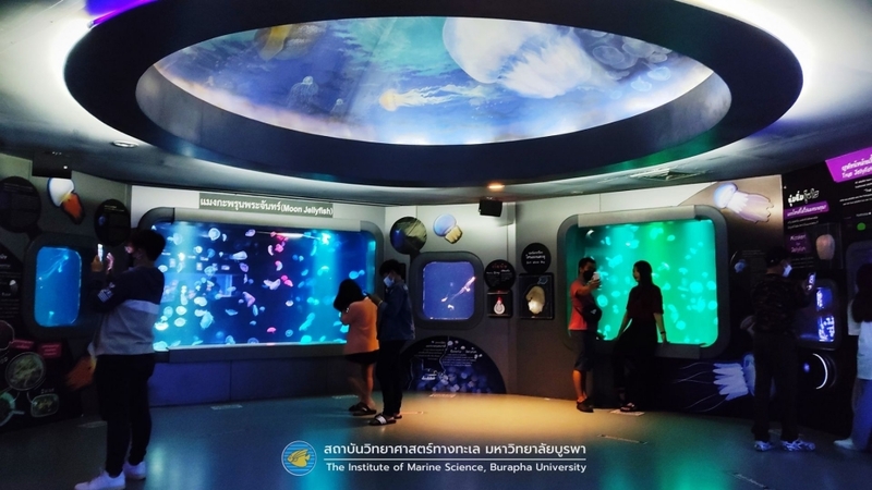 aquaria pluket, aquarium 2024, aquarium 2567, dolphinarium pattaya, monsters aquarium pattaya, sea life bangkok, sea life bangkok ocean world, sisaket aquarium, under water world, waghor aquarium, ซีไลฟ์ แบงคอก, ซีไลฟ์เปิดโซนใหม่, บึงฉวาก, บึงฉวากเฉลิมพระเกียรติ, พัทยา ดอลฟินนาเรียม, พิพิธภัณฑ์สัตว์น้ำ 2024, พิพิธภัณฑ์สัตว์น้ำ 2567, พิพิธภัณฑ์สัตว์น้ำบางแสน, พิพิธภัณฑ์สัตว์น้ำหว้ากอ, มอนสเตอร์ อควาเรียม, ศูนย์แสดงพันธุ์สัตว์น้ำศรีสะเกษ, สถานแสดงพันธุ์สัตว์น้ำระยอง, สถาบันวิทยาศาสตร์ทางทะเล, อควาดรียม ระยอง, อควาเรีย ภูเก็ต, อควาเรียม 2024, อควาเรียม 2567, อควาเรียม ม.บูพา, อควาเรียมชลบุรี, อควาเรียมบางแสน, อควาเรียมหว้ากอ, อควาเรียมใกล้กรุงเทพ, อันเดอร์วอเตอร์ เวิลด์, อันเดอร์วอเตอร์ เวิลด์ พัทยา, อุโมงค์ปลา, โลมาพัทยา, top 10+ อควาเรียมในประเทศไทย กรกฎาคม 2024 เด็ดโดนใจ ผจญภัย ตื่นตาตื่นใจไปกับโลกใต้น้ำ