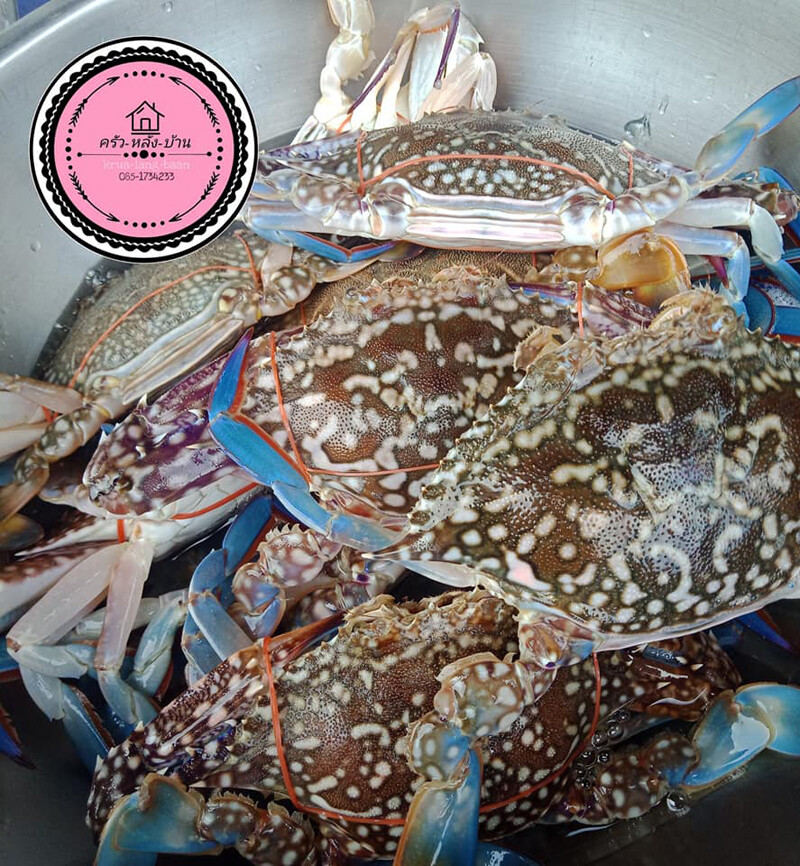 พัทยา, top 9+ ร้านลับพัทยา 2567 จอมเทียม นาเกลือ ริมทะเล อาหารทะเล ตามสั่ง ติดทะเล