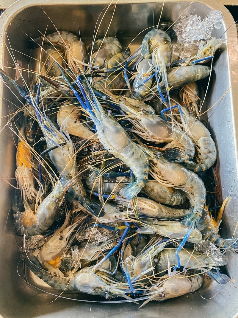 รวมร้านบุฟเฟ่ต์ สงขลา ชี้พิกัดร้านบุฟเฟ่ต์สุดคุ้มทั้งปิ้งย่าง ชาบู ทะเลเผา และอาหารญี่ปุ่น!