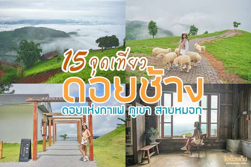 ดอยช้าง 2024  อัพเดท 15 ที่เที่ยว เส้นทางสายกาแฟ สู่ขุนเขาและสายหมอก
