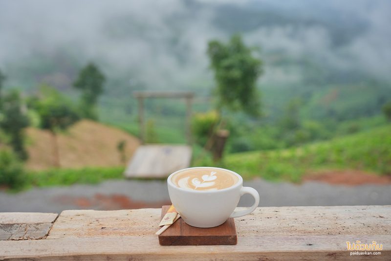 ร้านกาแฟดอยช้าง, คาเฟ่ดอยช้าง, ดอยช้าง, เที่ยวดอยช้าง, ดอยช้าง 2024  อัพเดท 15 ที่เที่ยว เส้นทางสายกาแฟ สู่ขุนเขาและสายหมอก