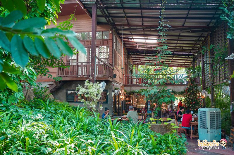 ร้านกาแฟตาก, ร้านอาหารตาก, คาเฟ่ตาก, เถียงนา คอฟฟี่ แอนด์เบเกอรี่ฟาร์ม, เถียงนา คอฟฟี่ ร้านอาหารบ้านไม้สไตล์วินเทจ