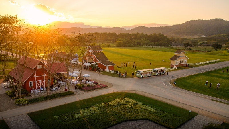 akha farmville, choui fong, singha park, กาดเจียงฮายรำลึก, ขุนน้ำนางนอน, คอฟฟี่ฮิลล์, จุดชมวิวดอยช้างมูบ, ช่องเขาขาด, ฐานปฏิบัติการดอยช้างมูบ, ดอยผาตั้ง, ดอยผาหมี, ดอยแม่สลอง, ตลาดแม่สาย, ตุงหลวงเฉลิมพระเกียรติ, ถนนคนเดินเชียงราย, ถ้ำหลวง ขุนน้ำนางนอน, ที่เที่ยวเชียงราย, ที่เที่ยวเชียงราย 2023, ที่เที่ยวเชียงราย 2566, ที่เที่ยวเชียงราย ธรรมชาติ, ที่เที่ยวเชียงราย ในเมือง, ที่เที่ยวเชียงรายใกล้ฉัน, ผาฮี้, พระธาตุดอยแม่ย่าม่อน, พระอุโบสถสีน้ำเงิน, พระโพธิสัตว์กวนอิมใหญ่ที่สุดในไทย, พิพิธภัณฑ์บ้านดำ, ฟาร์มแกะ ดอยช้าง, ภูชี้ดาว, ภูชี้ฟ้า, วัดป่าญะ, วัดพระธาตุดอยตุง, วัดพระธาตุแม่ย่าม่อน, วัดร่องขุ่น, วัดร่องเสือเต้น, วัดห้วยปลากั้ง, สวนคุณปู่ life museum, สวนคุณปู่ เชียงราย, สะพานไม้ไผ่ไร่ผาฮี้, สามเหลี่ยมทองคำ, สิงห์ปาร์ค, หมู่บ้านกะเหรี่ยงคอยาว, หมู่บ้านชาวเขากะเหรี่ยงคอยาว, หมู่บ้านสันติคีรี, อนุสาวรีย์พ่อขุนเม็งรายมหาราช, อาข่า ฟาร์ม, เชียงราย, เชียงราย 2023, เชียงราย 2566, เชียงรายไนท์บาซาร์, เที่ยวเชียงราย, โชคธรรมเจดีย์ 9 ชั้น, ไร่ชาฉุยฟง, ไฮเดรนเยีย ดอยแม่มอญ, ไฮเดรนเยียซัง, top 25+ ที่เที่ยวเชียงราย [กรกฎาคม 2024] ไหว้พระ ชมธรรมชาติ สัมผัสวิถีชีวิตชาวเขา ที่ดินแดนเหนือสุดประเทศไทย