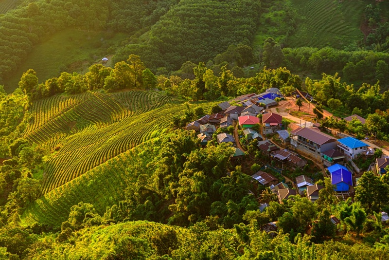 akha farmville, choui fong, singha park, กาดเจียงฮายรำลึก, ขุนน้ำนางนอน, คอฟฟี่ฮิลล์, จุดชมวิวดอยช้างมูบ, ช่องเขาขาด, ฐานปฏิบัติการดอยช้างมูบ, ดอยผาตั้ง, ดอยผาหมี, ดอยแม่สลอง, ตลาดแม่สาย, ตุงหลวงเฉลิมพระเกียรติ, ถนนคนเดินเชียงราย, ถ้ำหลวง ขุนน้ำนางนอน, ที่เที่ยวเชียงราย, ที่เที่ยวเชียงราย 2023, ที่เที่ยวเชียงราย 2566, ที่เที่ยวเชียงราย ธรรมชาติ, ที่เที่ยวเชียงราย ในเมือง, ที่เที่ยวเชียงรายใกล้ฉัน, ผาฮี้, พระธาตุดอยแม่ย่าม่อน, พระอุโบสถสีน้ำเงิน, พระโพธิสัตว์กวนอิมใหญ่ที่สุดในไทย, พิพิธภัณฑ์บ้านดำ, ฟาร์มแกะ ดอยช้าง, ภูชี้ดาว, ภูชี้ฟ้า, วัดป่าญะ, วัดพระธาตุดอยตุง, วัดพระธาตุแม่ย่าม่อน, วัดร่องขุ่น, วัดร่องเสือเต้น, วัดห้วยปลากั้ง, สวนคุณปู่ life museum, สวนคุณปู่ เชียงราย, สะพานไม้ไผ่ไร่ผาฮี้, สามเหลี่ยมทองคำ, สิงห์ปาร์ค, หมู่บ้านกะเหรี่ยงคอยาว, หมู่บ้านชาวเขากะเหรี่ยงคอยาว, หมู่บ้านสันติคีรี, อนุสาวรีย์พ่อขุนเม็งรายมหาราช, อาข่า ฟาร์ม, เชียงราย, เชียงราย 2023, เชียงราย 2566, เชียงรายไนท์บาซาร์, เที่ยวเชียงราย, โชคธรรมเจดีย์ 9 ชั้น, ไร่ชาฉุยฟง, ไฮเดรนเยีย ดอยแม่มอญ, ไฮเดรนเยียซัง, top 25+ ที่เที่ยวเชียงราย [กรกฎาคม 2024] ไหว้พระ ชมธรรมชาติ สัมผัสวิถีชีวิตชาวเขา ที่ดินแดนเหนือสุดประเทศไทย