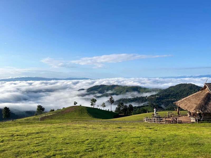 akha farmville, choui fong, singha park, กาดเจียงฮายรำลึก, ขุนน้ำนางนอน, คอฟฟี่ฮิลล์, จุดชมวิวดอยช้างมูบ, ช่องเขาขาด, ฐานปฏิบัติการดอยช้างมูบ, ดอยผาตั้ง, ดอยผาหมี, ดอยแม่สลอง, ตลาดแม่สาย, ตุงหลวงเฉลิมพระเกียรติ, ถนนคนเดินเชียงราย, ถ้ำหลวง ขุนน้ำนางนอน, ที่เที่ยวเชียงราย, ที่เที่ยวเชียงราย 2023, ที่เที่ยวเชียงราย 2566, ที่เที่ยวเชียงราย ธรรมชาติ, ที่เที่ยวเชียงราย ในเมือง, ที่เที่ยวเชียงรายใกล้ฉัน, ผาฮี้, พระธาตุดอยแม่ย่าม่อน, พระอุโบสถสีน้ำเงิน, พระโพธิสัตว์กวนอิมใหญ่ที่สุดในไทย, พิพิธภัณฑ์บ้านดำ, ฟาร์มแกะ ดอยช้าง, ภูชี้ดาว, ภูชี้ฟ้า, วัดป่าญะ, วัดพระธาตุดอยตุง, วัดพระธาตุแม่ย่าม่อน, วัดร่องขุ่น, วัดร่องเสือเต้น, วัดห้วยปลากั้ง, สวนคุณปู่ life museum, สวนคุณปู่ เชียงราย, สะพานไม้ไผ่ไร่ผาฮี้, สามเหลี่ยมทองคำ, สิงห์ปาร์ค, หมู่บ้านกะเหรี่ยงคอยาว, หมู่บ้านชาวเขากะเหรี่ยงคอยาว, หมู่บ้านสันติคีรี, อนุสาวรีย์พ่อขุนเม็งรายมหาราช, อาข่า ฟาร์ม, เชียงราย, เชียงราย 2023, เชียงราย 2566, เชียงรายไนท์บาซาร์, เที่ยวเชียงราย, โชคธรรมเจดีย์ 9 ชั้น, ไร่ชาฉุยฟง, ไฮเดรนเยีย ดอยแม่มอญ, ไฮเดรนเยียซัง, top 25+ ที่เที่ยวเชียงราย [กรกฎาคม 2024] ไหว้พระ ชมธรรมชาติ สัมผัสวิถีชีวิตชาวเขา ที่ดินแดนเหนือสุดประเทศไทย