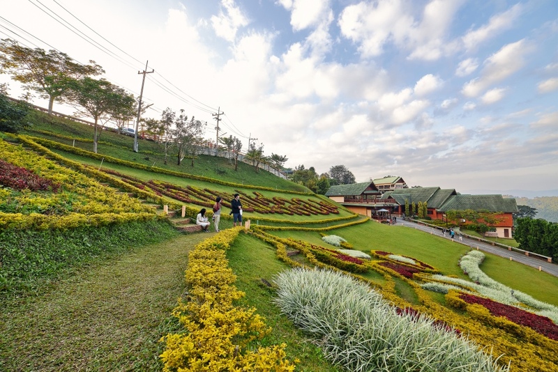 akha farmville, choui fong, singha park, กาดเจียงฮายรำลึก, ขุนน้ำนางนอน, คอฟฟี่ฮิลล์, จุดชมวิวดอยช้างมูบ, ช่องเขาขาด, ฐานปฏิบัติการดอยช้างมูบ, ดอยผาตั้ง, ดอยผาหมี, ดอยแม่สลอง, ตลาดแม่สาย, ตุงหลวงเฉลิมพระเกียรติ, ถนนคนเดินเชียงราย, ถ้ำหลวง ขุนน้ำนางนอน, ที่เที่ยวเชียงราย, ที่เที่ยวเชียงราย 2023, ที่เที่ยวเชียงราย 2566, ที่เที่ยวเชียงราย ธรรมชาติ, ที่เที่ยวเชียงราย ในเมือง, ที่เที่ยวเชียงรายใกล้ฉัน, ผาฮี้, พระธาตุดอยแม่ย่าม่อน, พระอุโบสถสีน้ำเงิน, พระโพธิสัตว์กวนอิมใหญ่ที่สุดในไทย, พิพิธภัณฑ์บ้านดำ, ฟาร์มแกะ ดอยช้าง, ภูชี้ดาว, ภูชี้ฟ้า, วัดป่าญะ, วัดพระธาตุดอยตุง, วัดพระธาตุแม่ย่าม่อน, วัดร่องขุ่น, วัดร่องเสือเต้น, วัดห้วยปลากั้ง, สวนคุณปู่ life museum, สวนคุณปู่ เชียงราย, สะพานไม้ไผ่ไร่ผาฮี้, สามเหลี่ยมทองคำ, สิงห์ปาร์ค, หมู่บ้านกะเหรี่ยงคอยาว, หมู่บ้านชาวเขากะเหรี่ยงคอยาว, หมู่บ้านสันติคีรี, อนุสาวรีย์พ่อขุนเม็งรายมหาราช, อาข่า ฟาร์ม, เชียงราย, เชียงราย 2023, เชียงราย 2566, เชียงรายไนท์บาซาร์, เที่ยวเชียงราย, โชคธรรมเจดีย์ 9 ชั้น, ไร่ชาฉุยฟง, ไฮเดรนเยีย ดอยแม่มอญ, ไฮเดรนเยียซัง, top 25+ ที่เที่ยวเชียงราย [กรกฎาคม 2024] ไหว้พระ ชมธรรมชาติ สัมผัสวิถีชีวิตชาวเขา ที่ดินแดนเหนือสุดประเทศไทย