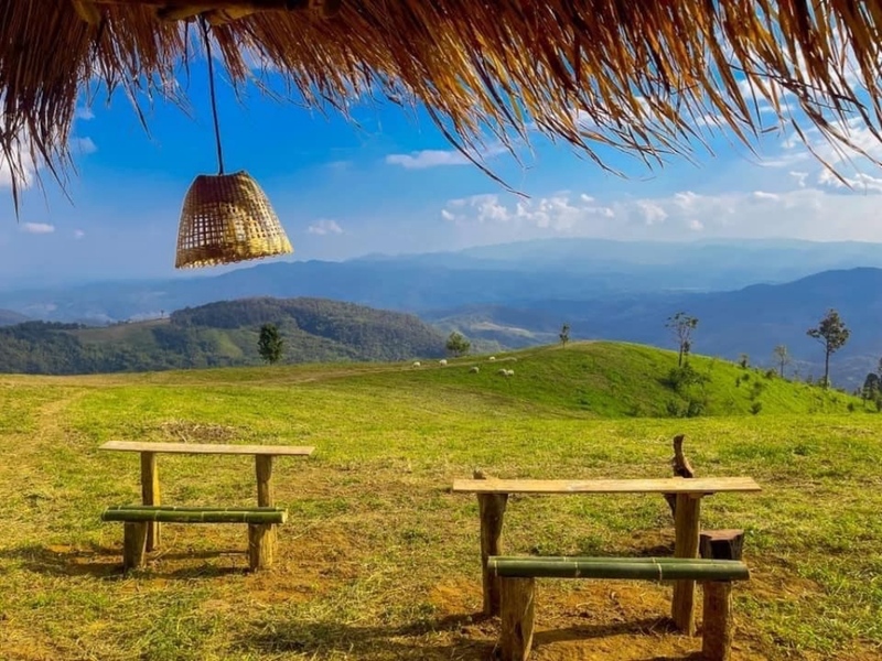 akha farmville, choui fong, singha park, กาดเจียงฮายรำลึก, ขุนน้ำนางนอน, คอฟฟี่ฮิลล์, จุดชมวิวดอยช้างมูบ, ช่องเขาขาด, ฐานปฏิบัติการดอยช้างมูบ, ดอยผาตั้ง, ดอยผาหมี, ดอยแม่สลอง, ตลาดแม่สาย, ตุงหลวงเฉลิมพระเกียรติ, ถนนคนเดินเชียงราย, ถ้ำหลวง ขุนน้ำนางนอน, ที่เที่ยวเชียงราย, ที่เที่ยวเชียงราย 2023, ที่เที่ยวเชียงราย 2566, ที่เที่ยวเชียงราย ธรรมชาติ, ที่เที่ยวเชียงราย ในเมือง, ที่เที่ยวเชียงรายใกล้ฉัน, ผาฮี้, พระธาตุดอยแม่ย่าม่อน, พระอุโบสถสีน้ำเงิน, พระโพธิสัตว์กวนอิมใหญ่ที่สุดในไทย, พิพิธภัณฑ์บ้านดำ, ฟาร์มแกะ ดอยช้าง, ภูชี้ดาว, ภูชี้ฟ้า, วัดป่าญะ, วัดพระธาตุดอยตุง, วัดพระธาตุแม่ย่าม่อน, วัดร่องขุ่น, วัดร่องเสือเต้น, วัดห้วยปลากั้ง, สวนคุณปู่ life museum, สวนคุณปู่ เชียงราย, สะพานไม้ไผ่ไร่ผาฮี้, สามเหลี่ยมทองคำ, สิงห์ปาร์ค, หมู่บ้านกะเหรี่ยงคอยาว, หมู่บ้านชาวเขากะเหรี่ยงคอยาว, หมู่บ้านสันติคีรี, อนุสาวรีย์พ่อขุนเม็งรายมหาราช, อาข่า ฟาร์ม, เชียงราย, เชียงราย 2023, เชียงราย 2566, เชียงรายไนท์บาซาร์, เที่ยวเชียงราย, โชคธรรมเจดีย์ 9 ชั้น, ไร่ชาฉุยฟง, ไฮเดรนเยีย ดอยแม่มอญ, ไฮเดรนเยียซัง, top 25+ ที่เที่ยวเชียงราย [กรกฎาคม 2024] ไหว้พระ ชมธรรมชาติ สัมผัสวิถีชีวิตชาวเขา ที่ดินแดนเหนือสุดประเทศไทย