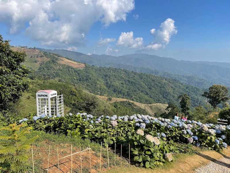 akha farmville, choui fong, singha park, กาดเจียงฮายรำลึก, ขุนน้ำนางนอน, คอฟฟี่ฮิลล์, จุดชมวิวดอยช้างมูบ, ช่องเขาขาด, ฐานปฏิบัติการดอยช้างมูบ, ดอยผาตั้ง, ดอยผาหมี, ดอยแม่สลอง, ตลาดแม่สาย, ตุงหลวงเฉลิมพระเกียรติ, ถนนคนเดินเชียงราย, ถ้ำหลวง ขุนน้ำนางนอน, ที่เที่ยวเชียงราย, ที่เที่ยวเชียงราย 2023, ที่เที่ยวเชียงราย 2566, ที่เที่ยวเชียงราย ธรรมชาติ, ที่เที่ยวเชียงราย ในเมือง, ที่เที่ยวเชียงรายใกล้ฉัน, ผาฮี้, พระธาตุดอยแม่ย่าม่อน, พระอุโบสถสีน้ำเงิน, พระโพธิสัตว์กวนอิมใหญ่ที่สุดในไทย, พิพิธภัณฑ์บ้านดำ, ฟาร์มแกะ ดอยช้าง, ภูชี้ดาว, ภูชี้ฟ้า, วัดป่าญะ, วัดพระธาตุดอยตุง, วัดพระธาตุแม่ย่าม่อน, วัดร่องขุ่น, วัดร่องเสือเต้น, วัดห้วยปลากั้ง, สวนคุณปู่ life museum, สวนคุณปู่ เชียงราย, สะพานไม้ไผ่ไร่ผาฮี้, สามเหลี่ยมทองคำ, สิงห์ปาร์ค, หมู่บ้านกะเหรี่ยงคอยาว, หมู่บ้านชาวเขากะเหรี่ยงคอยาว, หมู่บ้านสันติคีรี, อนุสาวรีย์พ่อขุนเม็งรายมหาราช, อาข่า ฟาร์ม, เชียงราย, เชียงราย 2023, เชียงราย 2566, เชียงรายไนท์บาซาร์, เที่ยวเชียงราย, โชคธรรมเจดีย์ 9 ชั้น, ไร่ชาฉุยฟง, ไฮเดรนเยีย ดอยแม่มอญ, ไฮเดรนเยียซัง, top 25+ ที่เที่ยวเชียงราย [กรกฎาคม 2024] ไหว้พระ ชมธรรมชาติ สัมผัสวิถีชีวิตชาวเขา ที่ดินแดนเหนือสุดประเทศไทย