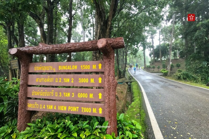 ดอยขุนตาล, นั่งรถไฟเที่ยว, นั่งรถไฟไปขุนตาน, อุโมงค์ขุนตาน, เดินป่า, เดินป่า หน้าฝน, นั่งรถไฟไป เดินป่าหน้าฝน ขึ้นยอด ย.4 ดอยขุนตาน
