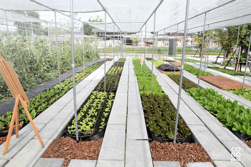 top 16+ คาเฟ่ราชบุรี บรรยากาศชิคๆ น่าเช็คอินในวันหยุด