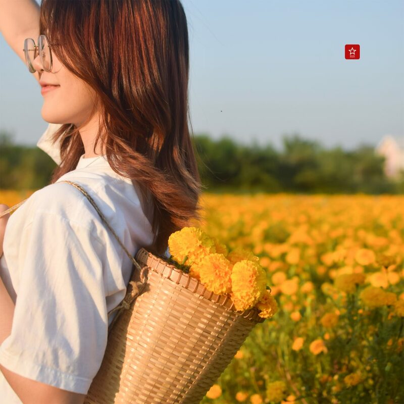 marigoldbeblessfarm, reviewchiangmai, คาเฟ่เชียงใหม่, ดอกดาวเรืองเชียงใหม่, ที่เที่ยวเชียงใหม่, บอลลูนเชียงใหม่, รีวิวเชียงใหม่, สวนดอกไม้เชียงใหม่, หางดง, ดอกดาวเรืองเชียงใหม่ ฟาร์มสุดสวย ไม่ต้องไปที่ไหนไกลแล้ว