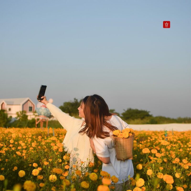 marigoldbeblessfarm, reviewchiangmai, คาเฟ่เชียงใหม่, ดอกดาวเรืองเชียงใหม่, ที่เที่ยวเชียงใหม่, บอลลูนเชียงใหม่, รีวิวเชียงใหม่, สวนดอกไม้เชียงใหม่, หางดง, ดอกดาวเรืองเชียงใหม่ ฟาร์มสุดสวย ไม่ต้องไปที่ไหนไกลแล้ว