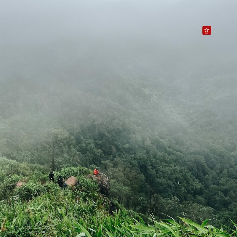 reviewchiangmai, ภูสอยดาว, รีวิวเชียงใหม่, ลานสนภูสอยดาว, อุตรดิตถ์, เดินป่าหน้าฝน, เดินป่าหน้าหนาว, เดินป่าอุตรดิตถ์, ภูสอยดาว เดินป่าหน้าฝน รีวิวเชียงใหม่ ไป ลานสนภูสอยดาว
