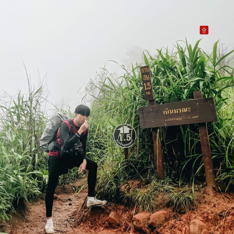 reviewchiangmai, ภูสอยดาว, รีวิวเชียงใหม่, ลานสนภูสอยดาว, อุตรดิตถ์, เดินป่าหน้าฝน, เดินป่าหน้าหนาว, เดินป่าอุตรดิตถ์, ภูสอยดาว เดินป่าหน้าฝน รีวิวเชียงใหม่ ไป ลานสนภูสอยดาว