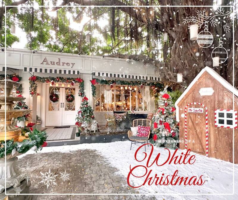 Audrey Cafe Thonglor Soi 11 , Unbirthday Cafe, B-Story Garden Cafe and Restaurant, Once Upon A Tree Cafe, BLACKSUGAR CAFE BKK, Chuanpisamai Cafe, Shing A ring A ring : hang out bar &amp; cafe, Top 10+ คาเฟ่คริสต์มาส กรุงเทพ 2024 ร้านสวย ถ่ายรูปปัง