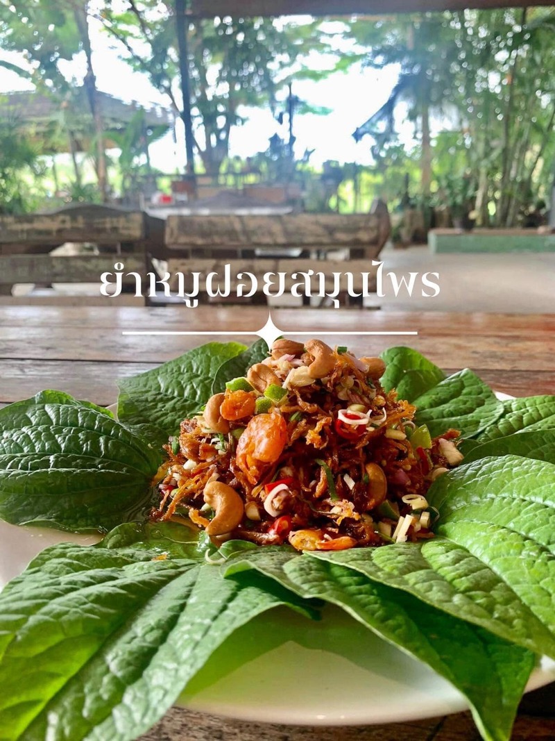 top 21+ ร้านอาหารสุพรรณบุรี ไปเยือนถิ่นเมื่อไหร่เป็นต้องแวะ!