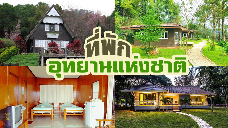 1. บ้านพักอุทยานแห่งชาติหาดนวกร, 2. บ้านพักอุทยานแห่งชาตอดอยภูคา, 3. บ้านพักอุทยานแห่งชาติคลองลาน, 4. บ้านพักอุทยานแห่งชาติแม่วงก์, 5. บ้านพักห้วยน้ำดัง อุทยานแห่งชาติห้วยน้ำดัง, 6. บ้านทาร์ซาน อุทยานแห่งชาติทองผาภูมิ, 7. บ้านพักดอยแม่จอก อุทยานแห่งชาติขุนสถาน, Top 7+ ที่พักอุทยานแห่งชาติ วิธีจองที่พักอุทยานแห่งชาติ บรรยากาศน่านอน