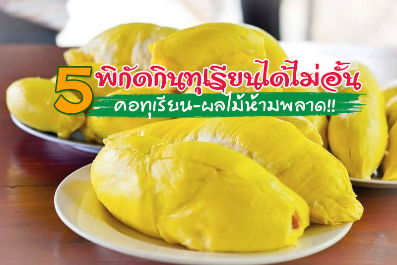 1. สวนสุภัทราแลนด์, 2. สวนลุงประเสริฐ, 3. สวนผู้ใหญ่เสวตร, 4. สวนละไม, 5. สวนปาหนัน, Top 5+ บุฟเฟต์ทุเรียนได้ไม่อั้น หลากหลายพันธุ์ คอทุเรียน-ผลไม้ห้ามพลาด