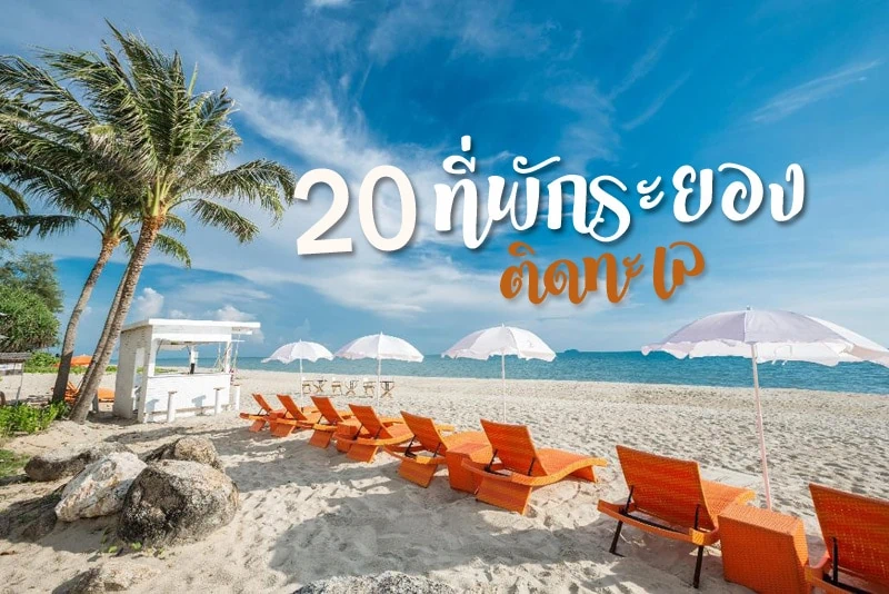 ระยอง รีสอร์ท แอนด์สปารีทรีต, รอยัลพลา คลิฟฟ์ บีช , ไวท์ แอท ซี รีสอร์ท, แคนทารี เบย์ โฮเทล ระยอง, บารี ละไม รีสอร์ท , โรงแรมไนซ์บีช , แมกไม้ วิลล่า , บัญดารา ออน ซี , ภูริมาศ บีช โฮเต็ล&amp;สปา, สบายดี บีช , หาดแสงจันทร์ รีสอร์ท, PrivateRayong, เพลย์ พลา บีช ระยอง, Yellow House, Rayong Chalet Resort, ร็อคการ์เดน บีช รีสอร์ท , แกรนด์บลู รีสอร์ท, โนโวเทล ระยอง ริมเพ, บ้านสวนอ่าวไข่, ซี เนเจอร์ ระยอง , Top 20+ ที่พักระยองติดทะเล พักสุดชิลในวันหยุด