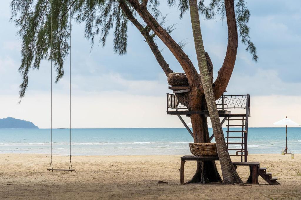 awa resort, dewa koh chang, emerald cove, kacha resort, kc grande, koh chang hotels, koh chang hotels white sand beach, koh chang resort, marina sands resort, mercure, pajamas koh chang, resolution resort, santhiya tree koh chang resort, vayna boutique koh chang, กจาปุรี รีสอร์ท, คชา รีสอร์ท, คลองพร้าว รีสอร์ท, จังหวัดตราด, ณ ธารา รีสอร์ท, ณ ธารา รีสอร์ท เกาะช้าง, ตราด, ท่องเที่ยวภาคตะวันออก, ที่กิน ที่เที่ยว, ที่พักเกาะช้าง, ที่พักเกาะช้าง 2024, ที่พักเกาะช้าง 2567, ที่พักเกาะช้าง ติดทะเล, ที่พักเกาะช้างติดทะเล, ที่พักเกาะช้างติดทะเล 2024, ที่พักเกาะช้างติดทะเล 2567, ปาจามัส เกาะช้าง, ฟลอร่า ไอทะเล รีสอร์ท, มารีน่าแซนด์ รีสอร์ท, รามายานา เกาะช้าง, รีสอร์ทเกาะช้าง, รีสอร์ทเกาะช้าง 2024, สันธิญา ทรี เกาะช้าง รีสอร์ท, หาดคลองพร้าว, หาดทรายขาว, หาดไก่แบ้, อาน่า รีสอร์ท แอนด์ สปา, อ่าวใบลาน, เกาะช้าง, เกาะช้าง 2024, เกาะช้าง 2567, เกาะช้าง ที่พัก, เกาะช้าง ที่พัก 2024, เกาะช้าง ที่พัก 2567, เค บี รีสอร์ต, เค บี รีสอร์ท เกาะช้าง, เคซี แกรนด์, เซ็นทารา เกาะช้าง ทรอปิคานา รีสอร์ท, เดวา เกาะช้าง, เดอะ ชิลล์ รีสอร์ท, เดอะ ชิลล์ เกาะช้าง, เดอะสแปลช เกาะช้าง, เดอะเดวา, เที่ยวจังหวัดตราด, เนเจอร์บีช รีสอร์ท, เมอร์เคียว, เมอร์เคียว เกาะช้าง, เรโซลูชั่น รีสอร์ท, เวย์นา บูทิก เกาะช้าง, เอวา รีสอร์ท, โรงแรมดิเอ็มเมรัลโคฟ, โรงแรมเกาะช้าง, top 30+ ที่พักเกาะช้าง [กรกฎาคม 2024] ติดทะเล พักผ่อนสุดชิล ริมทะเลสีฟ้าคราม