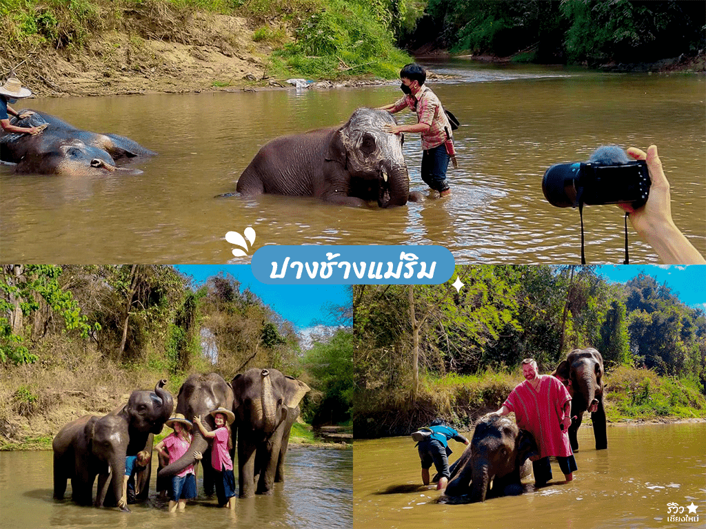 ที่เที่ยว เชียงใหม่, ที่เที่ยวสงกรานต์ เชียงใหม่, ที่เที่ยวเชียงใหม่ใกล้ตัวเมือง, น้ำตกเชียงใหม่, ปางช้าง เชียงใหม่, ล่องแพ แม่วาง, สงกรานต์ 2556, สงกรานต์ เชียงใหม่, สงกรานต์ เชียงใหม่ 2556, แม่กำปอง, ปักหมุดที่เที่ยวสงกรานต์ 2565 เชียงใหม่ ไปไหนได้บ้าง!