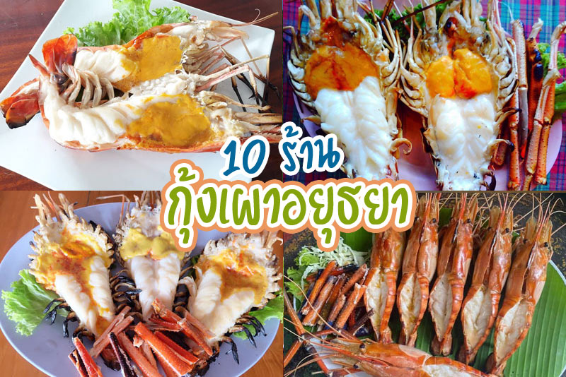 เรือนไทยกุ้งเผา, ร้านสี่แควกุ้งเผา, บ้านอู่ทอง, ครัวมะนาว, รวยกุ้งเผา, ร้านแพทองหยอด , บ้านวัชราภัย, บ้านไม้ริมน้ำ, ครัวย่าบัว, ตลาดกลาง, Top 10+ ร้านกุ้งเผาอยุธยา รับประกันความสด รสชาติเด็ด