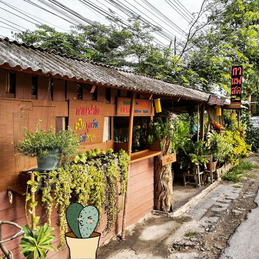 top 14+ ร้านอร่อยตลอดแนวคลองรังสิต-ปทุมธานี พิกัดความอร่อยที่ไม่ควรพลาด!!!