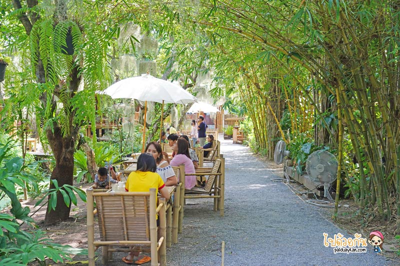 natura garden cafe, ภูมิใจการ์เด้น, คาเฟ่พระราม2, natura garden cafe คาเฟ่ฟีลสวน โดดเด่นด้วยต้นเคราฤาษี
